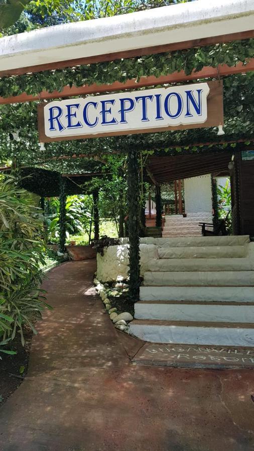 Hotel Bugabutik Puerto Viejo de Talamanca エクステリア 写真